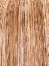 10H24B | Light Brown with 20% Light Gold Blonde Highlights