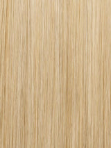 22MB  | Light Ash Blonde and Light Natural Gold Blonde Blend