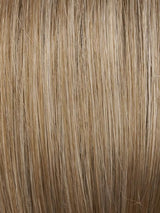 17/101 | Light Ash Blonde and Pale Ash Blonde Blend