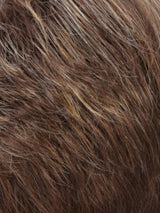 R8/26H | Golden Brown w/Golden Blonde Highlights